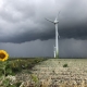 30 augustus 2018; droogte tijdelijk voorbij