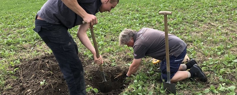 28 augustus 2018; Zicht op de bodemstructuur Fase 2