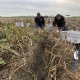 11 september 2018; proefveld aardappelen Den Hartigh gerooid.