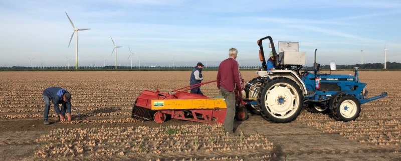 17, 18 en 19 september 2018; proefveld uien rooien en opladen