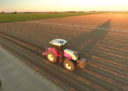 26, 27 en 28 september 2018; aardappel oogst