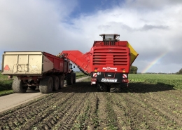 1 en 2 oktober 2018; suikerbieten rooien