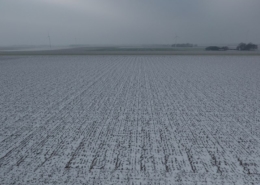 28 januari 2019; eerste vorstperiode ten einde