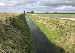 18 maart 2019; natte periode achter de rug