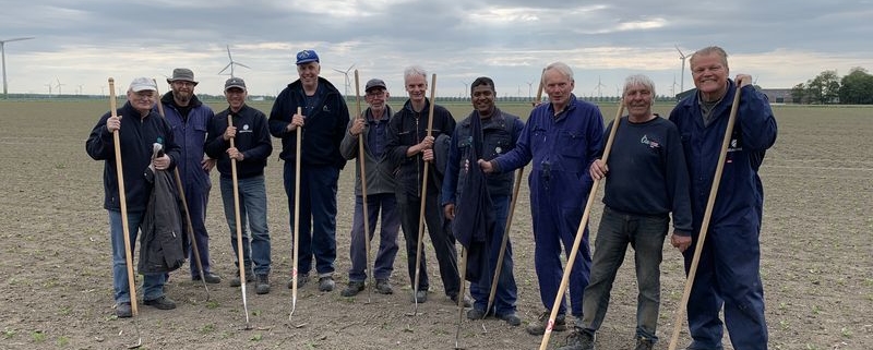 17 mei 2019; proefveld suikerbieten dunnen