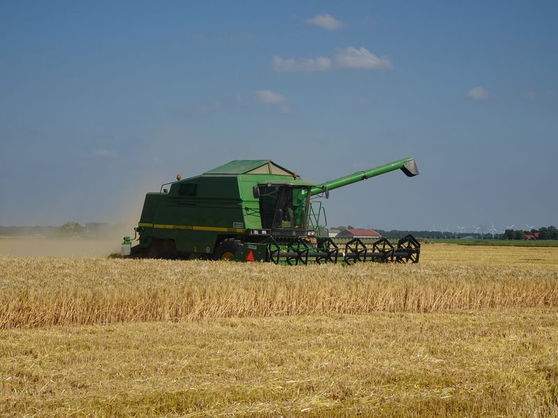 5 juli 2019; wintergerst oogst