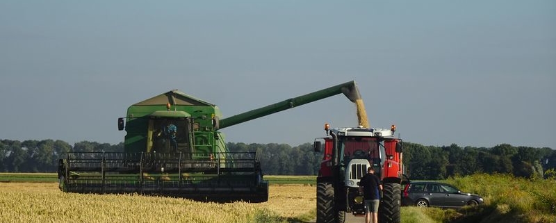 5 juli 2019; wintergerst oogst