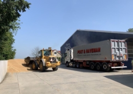 26 juli 2019; wintertarwe laden