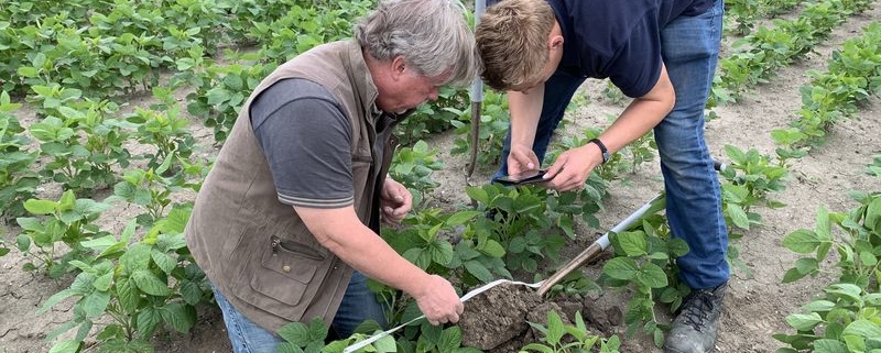 16 juli 2019; Zicht op de bodemstructuur