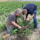 16 juli 2019; Zicht op de bodemstructuur