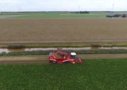 6 september 2019; suikerbieten rooien