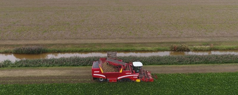 6 september 2019; suikerbieten rooien