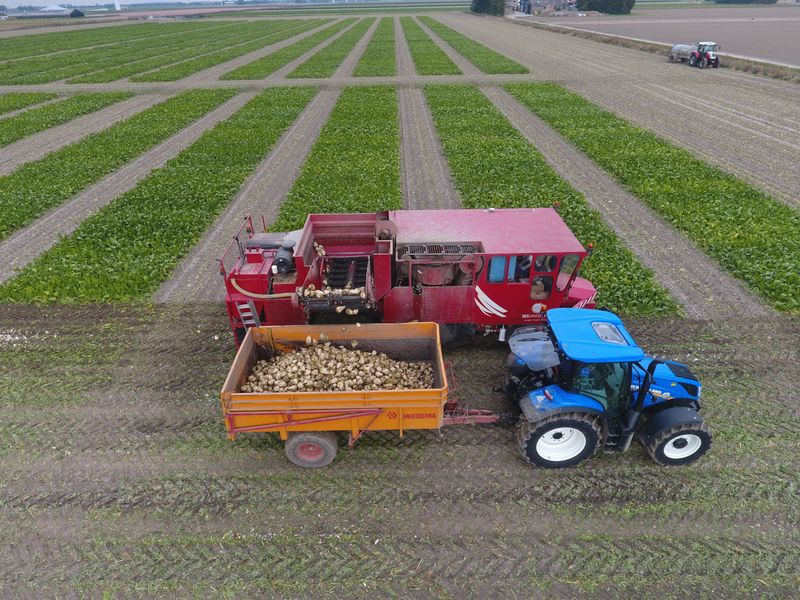 9 t/m 17 september 2019; suikerbieten proefveld rooien