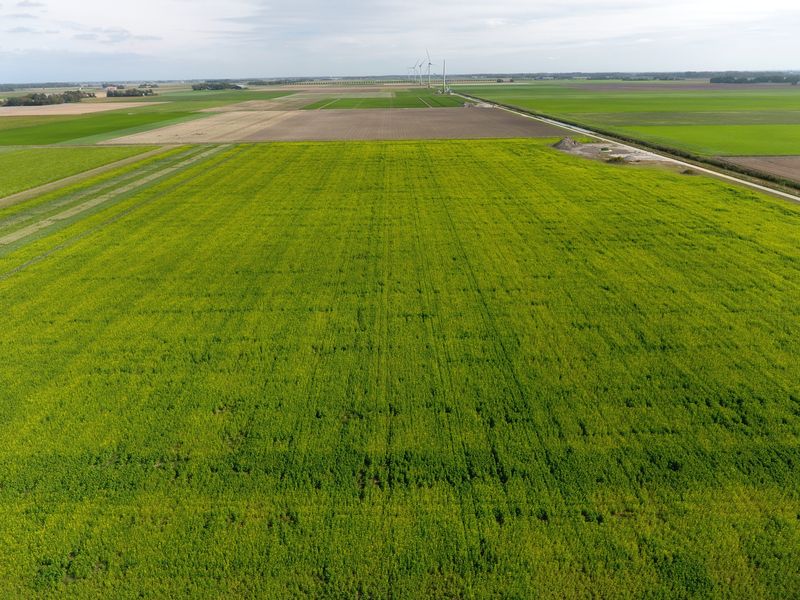15 september 2019; orgamax groenbemester