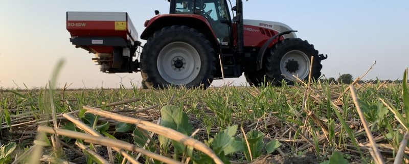 26 augustus 2019; bemesten solarigol groenbemester