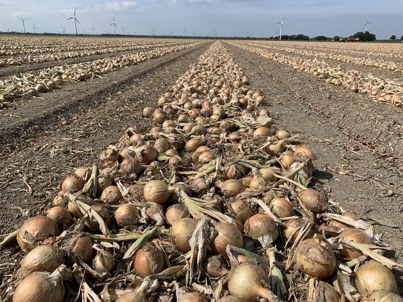 30 en 31 augustus 2019; uien laden