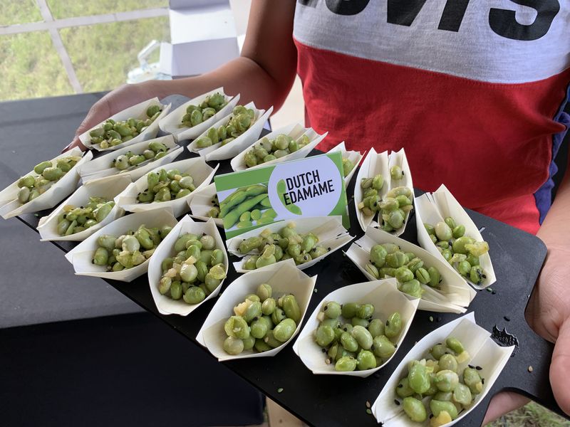 3 september 2019; Dutchsoy velddag