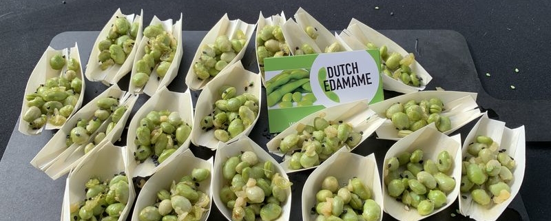 3 september 2019; Dutchsoy velddag