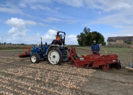 19 september 2019; uien proefveld rooien