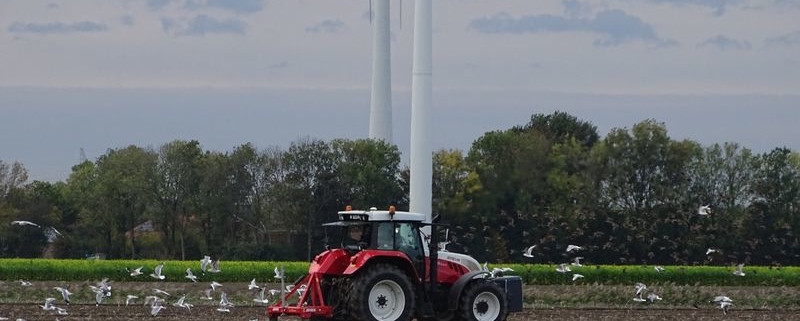27 oktober 2019; woelen aardappelland