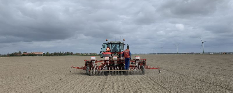 15 april 2020; uien zaaien