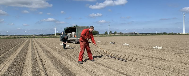 4 mei 2020; Aardappelproefveld Royal Zap/Semagri poten