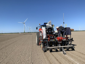 6 en 7 mei 2020; suikerbieten proefveld zaaien
