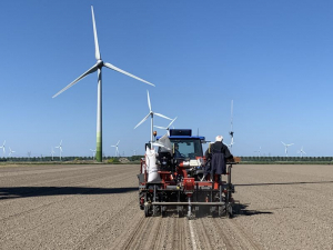 6 en 7 mei 2020; suikerbieten proefveld zaaien