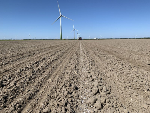 6 en 7 mei 2020; suikerbieten proefveld zaaien