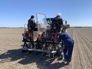 6 en 7 mei 2020; suikerbieten proefveld zaaien