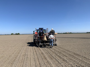 6 en 7 mei 2020; suikerbieten proefveld zaaien