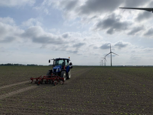 8 juni 2020; schoffelen en dunnen suikerbieten proefveld