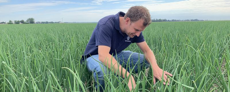 25 juli 2020; Michiel van de Vate, R van Wesemael BV