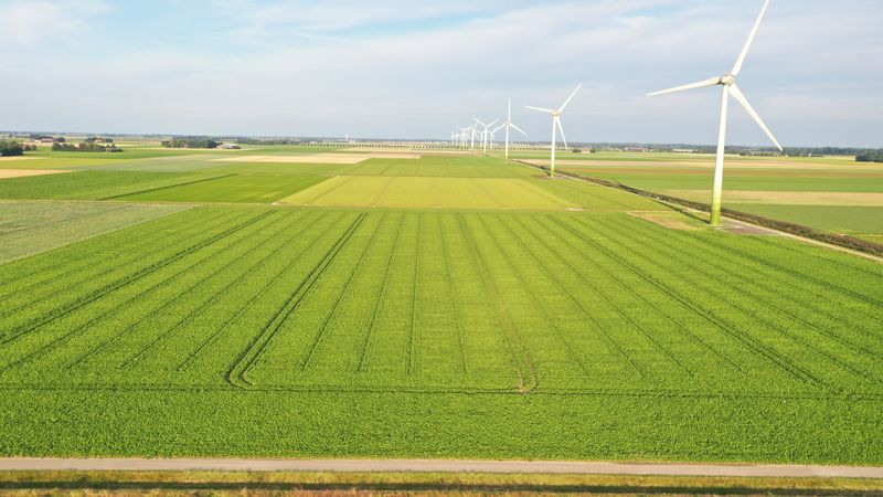 19 augustus 2020; gewasgroei suikerbieten