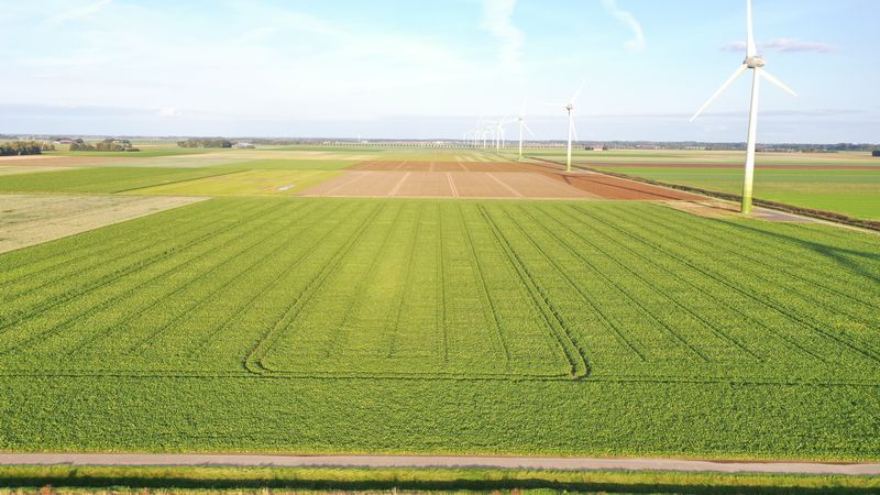 9 september 2020; gewasgroei suikerbieten