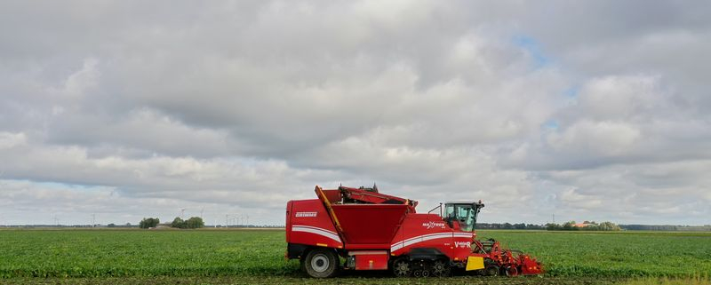 25 september 2020; suikerbieten rooien