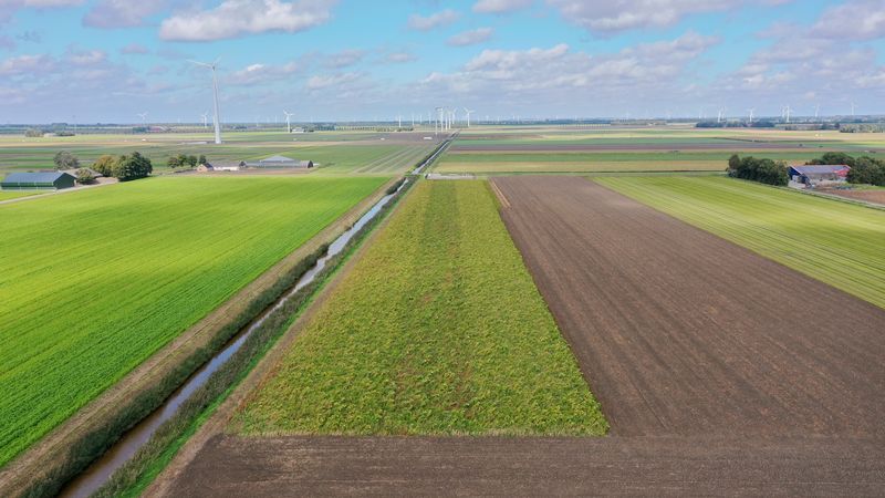 24 september 2020; gewasgroei vogelakker