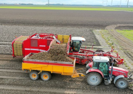 23, 24 en 25 oktober 2020; aardappels rooien