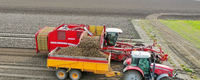 23, 24 en 25 oktober 2020; aardappels rooien