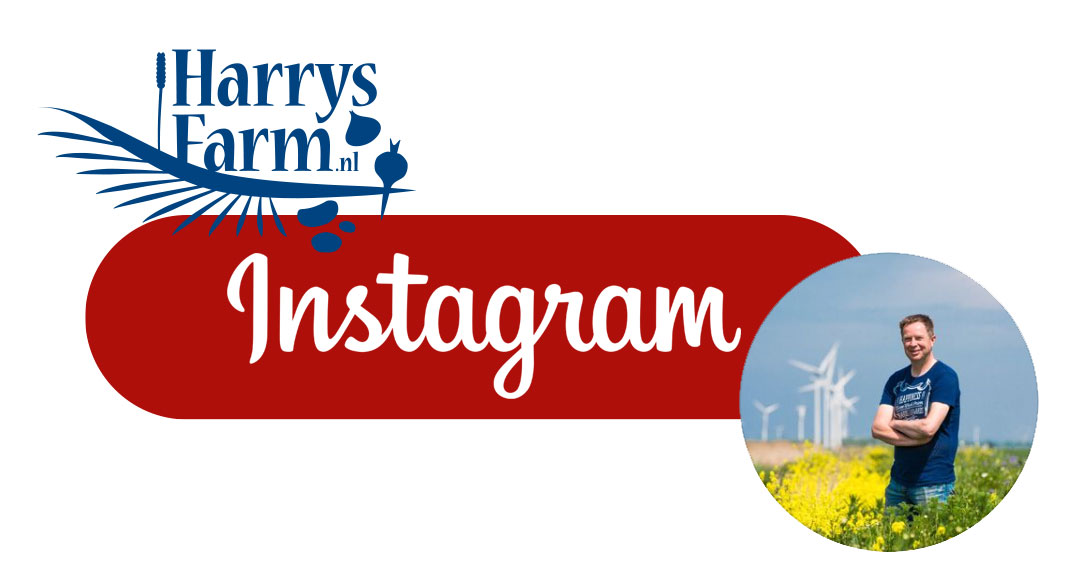Link tree voor Instagram