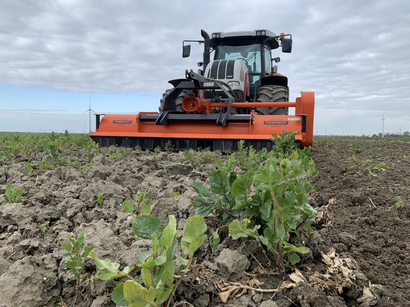 8 april 2021; aardappel land voorbewerken met Moreni rotorkopeg en Perfect klepelmaaier