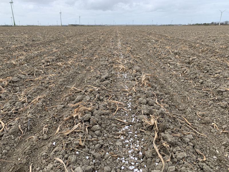 23 april 2021; suikerbieten proefveld zaaien door SESVanderHave