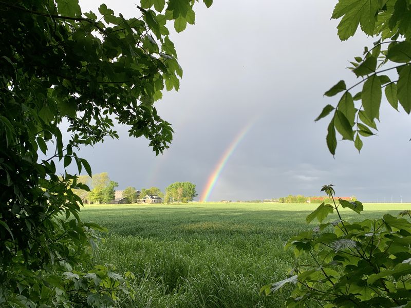 24 mei 2021; natte periode