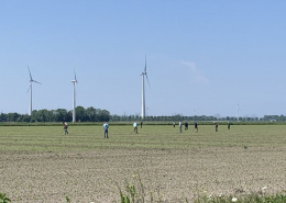 4 juni 2021; suikerbieten proefveld dunnen