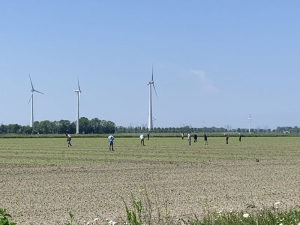 4 juni 2021; suikerbieten proefveld dunnen