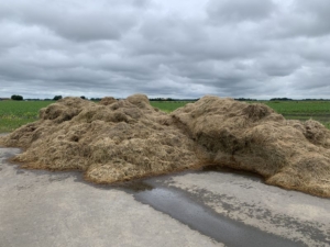 16 juni 2021; aangepast slootkantenbeheer