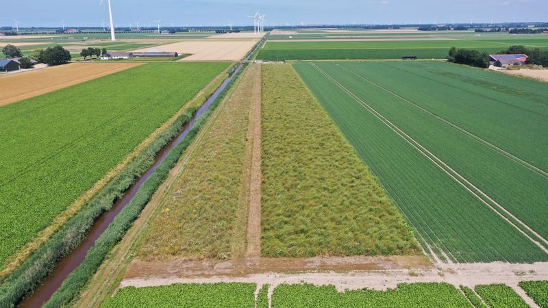 22 juli 2021; gewasgroei vogelakker