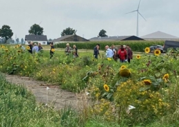 18 augustus 2021; Flevoland bloeit inloop demo