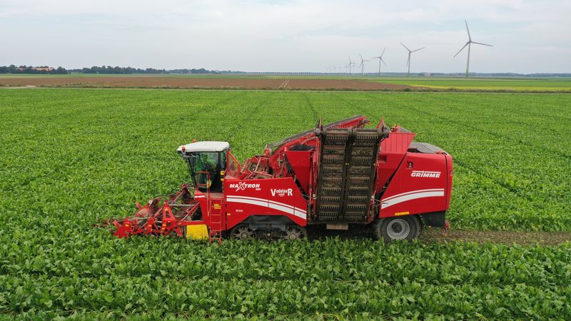 14 september 2021; suikerbieten rooien