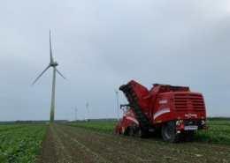 14 september 2021; suikerbieten rooien